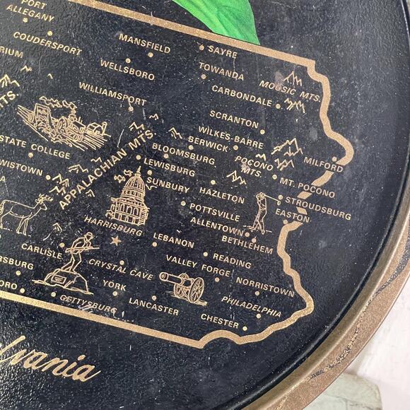 Vintage Round Black Tin Tray State Souvenir Serving Pennsylvania PA Pink Flower - Picture 6 of 7